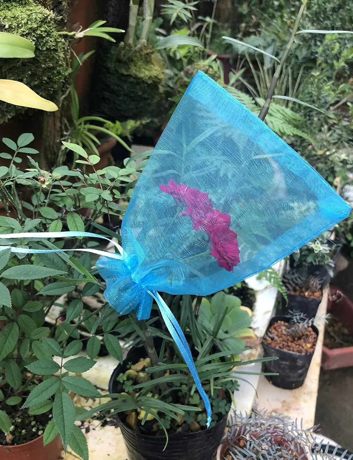 100PCS Sheer Organza Bags - 5X7 inches Turquoise Mesh Drawstring Jewelry Gift Bags for Wedding, Birthday, Shower & Party Favors