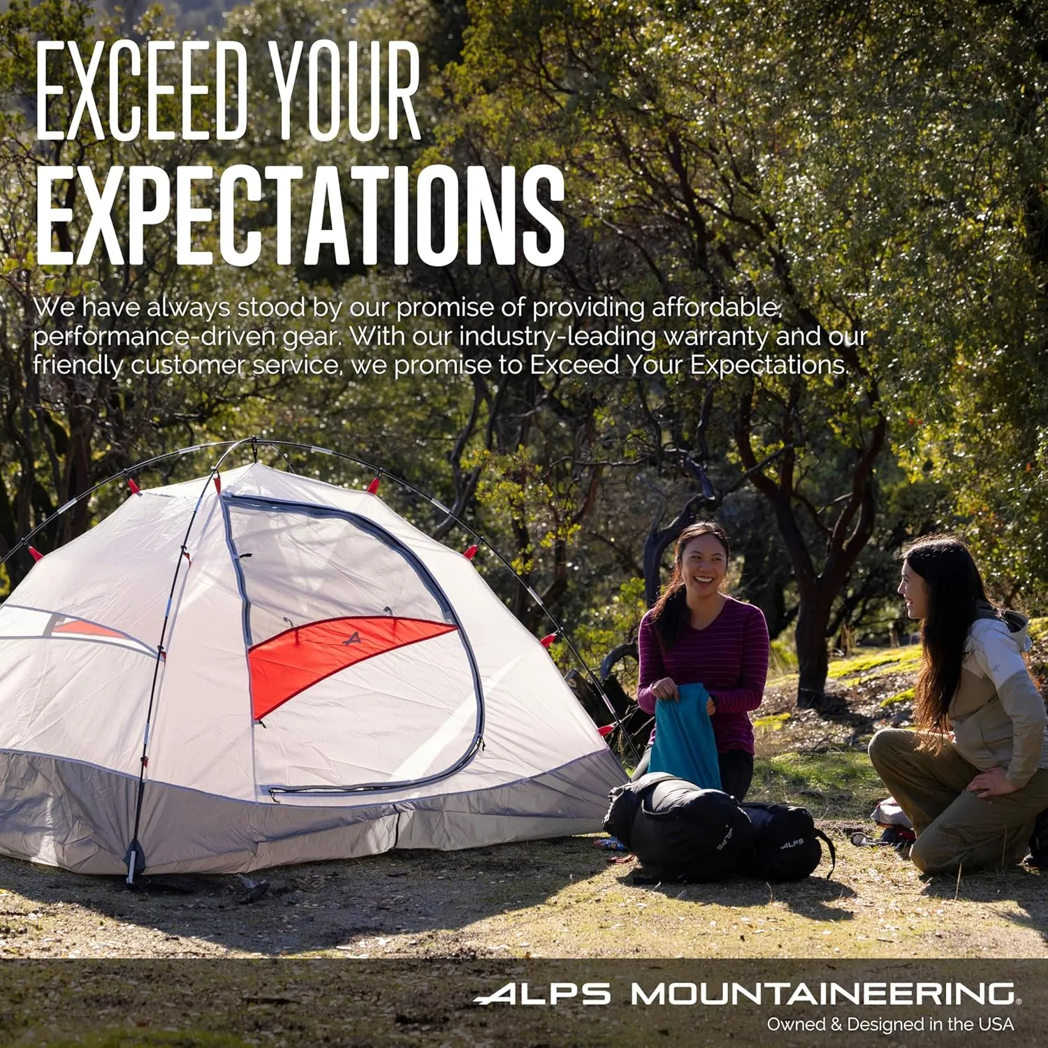 ALPS Mountaineering Zippered Tent Replacement Bag with Carry Straps