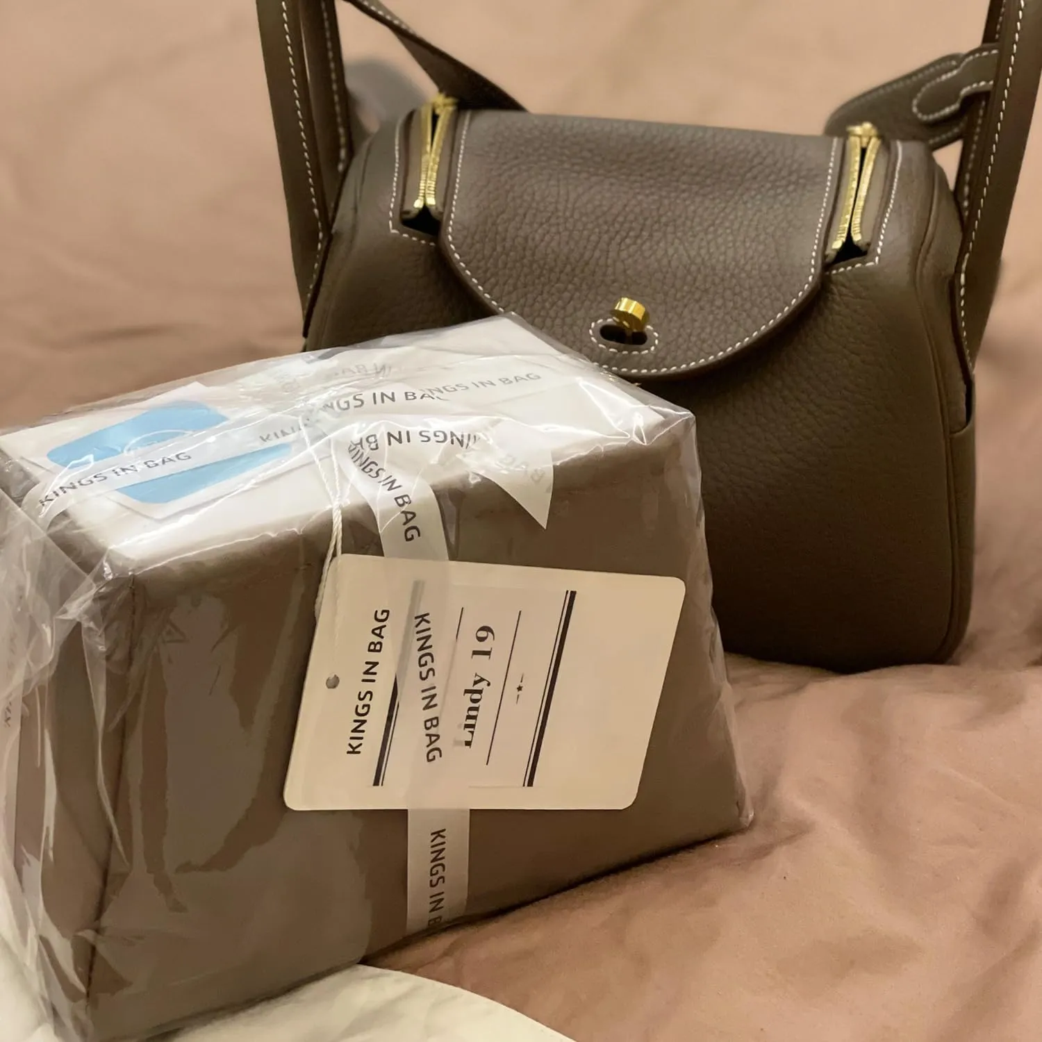 Mini Lindy Bag Insert, Luxury Bags Storage with Silk, Lightweight Inner Bag Compatible with Lindy 19 Bags, Multiple Pockets Large Capacity(Etoupe grey, Lindy19)