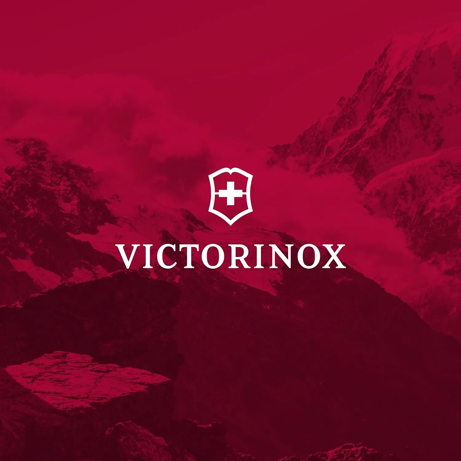 Victorinox VX Sport EVO Daypack - Modern Backpack to Carry Travel Accessories - Includes Airflow Channels & Adjustable Straps - 32 Liters, Black